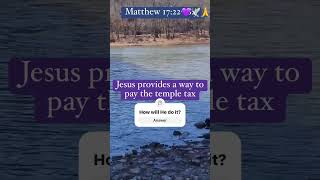 Jesus provides unique way to pay temple tax bible Jesus temple God matthew 17 faith sea [upl. by Elisee449]