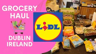 LIDL Food Shop  DUBLIN IRELAND  Prices OnScreen [upl. by Elrebmik810]