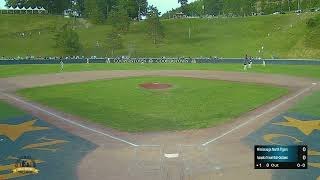 Cooperstown Championship Game  2022 Tournament 10 [upl. by Ringo]