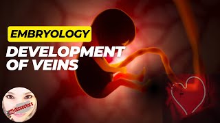 Special Embryology  Development of the Veins [upl. by Assenab]