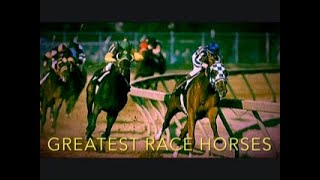 Greatest Racehorses Of All Time  Top 10 [upl. by Benedicta80]