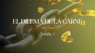 136  El dilema de la carne [upl. by Cowan211]