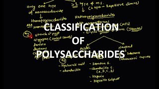 16 Polysaccharides  Classification [upl. by Iad]