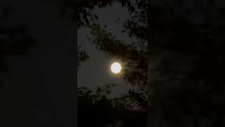 You are more beautiful than moon 🌝 hindisong newyork rahulvaidya [upl. by Leno]