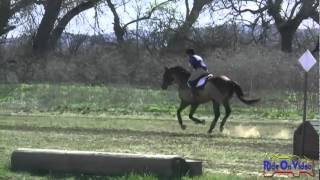 275XC Christen Steere Novice Horse Cross Country Twin Rivers March 2012 [upl. by Padriac]