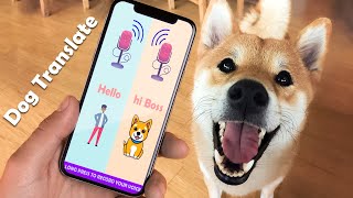 Dog Translator App  Cat Translator App [upl. by Narra424]