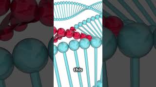 What is Ornithine Transcarbamylase Deficiency [upl. by Sil172]