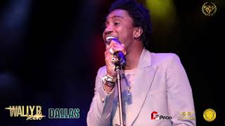 WALLY B SECK CONCERT LIVE IN DALLAS AFRICAN LIVE JAM 2022 wally seck [upl. by Jemmy]