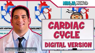 Cardiovascular  Cardiac Cycle Digital Version [upl. by Cynarra]