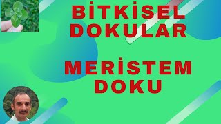 BİTKİSEL DOKULAR MERİSTEM DOKU [upl. by Renrag871]