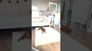 Making my dog do an interpretive dance to get his dinner 🤣 🎥 TT emjoyselberis [upl. by Kassi]