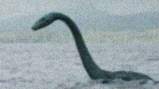 Ogopogo Spotted Has Canadas Version of the Loch Ness Monster Been Caught on Video [upl. by Nine104]