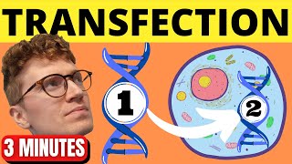 QUICKLY Understand Transfection [upl. by Trixi344]