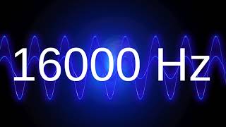 16000 Hz clean pure sine wave TEST TONE 16 khz frequency [upl. by Paulette39]