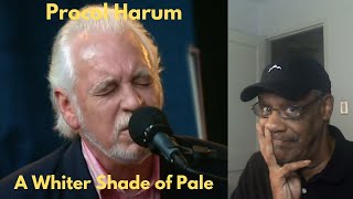 Music Reaction  Procol Harum  A Whiter Shade of Pale Live  Zooty Reactions [upl. by Ahsercel]