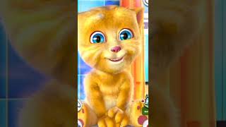 Islamic Funny cat video cat cartoon shorts dog [upl. by Fionna]