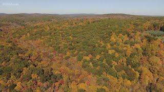 Fall foliage delay in New England is not a worry according to experts [upl. by Edelson]