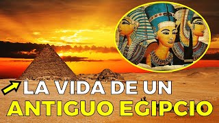 ¿Cómo era LA VIDA DIARIA en el antiguo Egipto [upl. by Hsirk]