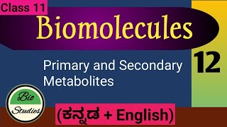 Class 11  Biomolecules  12  Primary and Secondary Metabolites [upl. by Dimond385]