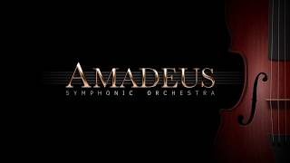 Amadeus Symphonic Orchestra Overview [upl. by Cirded]