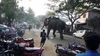 Elephant Attack Trithala VK kadavu nercha 2018 [upl. by Enavi]