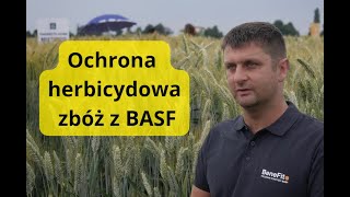 Ochrona herbicydowa zbóż – jak zwalczyć jedno i dwuliścienne chwasty [upl. by Aduhey]