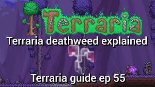 terraia deathweed explained terraria guide ep 55 [upl. by Neellok]