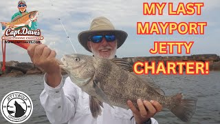 JacksonvilleMayport jetties Black Drum [upl. by Keeton]