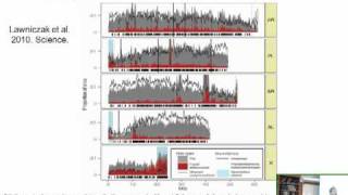 The Genomic Architecture of Speciation [upl. by Carmine649]