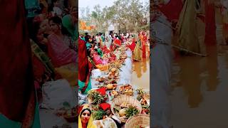 Happy Chhath Pooja shardasinhasong chathpoojageet [upl. by Atikihc625]