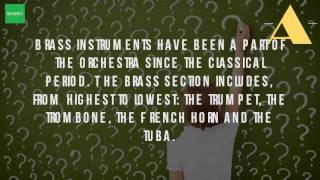 What Is The Largest And Lowest Pitched Brass Instrument [upl. by Nannie]