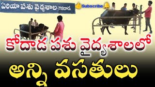 అన్ని వసతులతో కూడిన కోదాడ పశువైద్యశాలyoutubeutubekodadveterinaryveterinaryclassestelanganakdd [upl. by Hurff706]