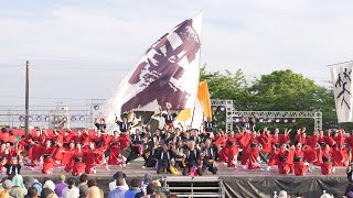 4K 笑゛ 犬山踊芸祭 2023 日曜日 [upl. by Barvick708]