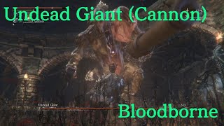 Bloodborne  Undead Giant Cannon [upl. by Schechinger990]