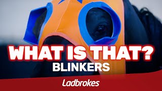 What Is That – Blinkers amp Winkers [upl. by Hultin]