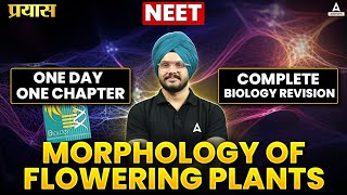 MORPHOLOGY OF FLOWERING PLANTS  NEET 2024  ONE DAY ONE CHAPTER  COMPLETE BIOLOGY REVISION [upl. by Devad]