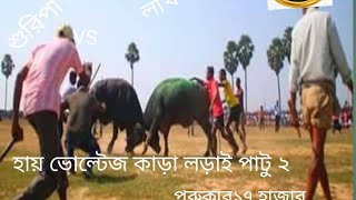 হায় ভোল্টেজ কাড়া লড়াই রাঙ্গামাটি বিরাট লোখিন্ত মাহাতোVS সুপিরিয়র মাহাতো ১৭হাজার টাকা part 2 [upl. by Cailean]