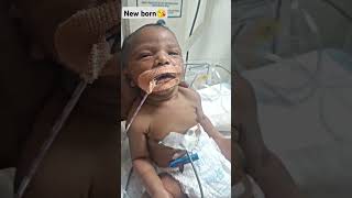 New born baby👶🥰hospital baby viralshort newborn ytshorts viralvideo cuteshortsnicu 🥰song [upl. by Ahsiuqal613]