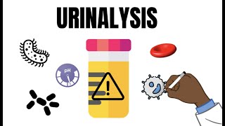 Urinalysis Interpretation QUICK and EASY [upl. by Chrisman]