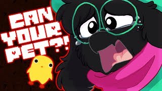 RALSEI PLAYS  CAN YOUR PET [upl. by Ellek868]