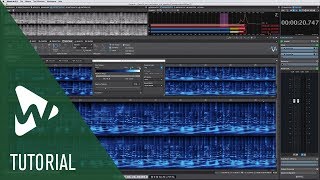 Spectrogram and Wavelet Displays  New Features in WaveLab Pro 95 [upl. by Dene]