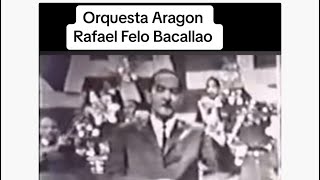 Orquesta Aragon y el gran Rafael Felo Bacallao [upl. by Reneta]