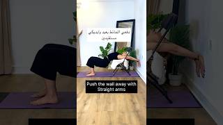 سترتش ممتاز لزيادة مرونة الظهر والاكتاف flexibility contortion اكسبلور مرونة رياضة mobility [upl. by Adiazteb569]