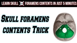 Mnemonic for skull foramens contents [upl. by Pantheas776]