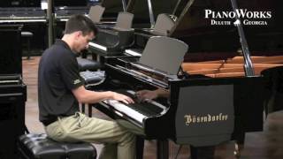 PreOwned Bösendorfer 225  Chopin  PianoWorks [upl. by Reiser594]