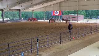 Auburn University  Spring 2024 Equestrian Clinic  Mallory Kirby [upl. by Ettenaej89]