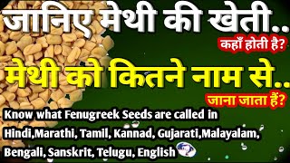 methi ke naam  fenugreek farming india  methi in english name  fenugreek seeds in hindi  spices [upl. by Rustin644]