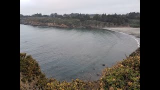 Urchin Culling Caspar Cove Fort Bragg CA  Scuba Diving Abalone Surprise [upl. by Dnalevets]