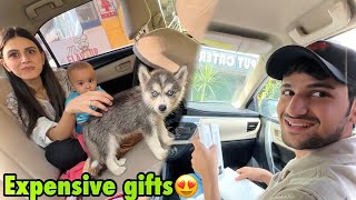 Full of surprises vlogs  ultra watch  husky dog  Basil ka papa ko dekh ke reaction😍 [upl. by Ayital]