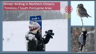 Winter Birding in the Timmins  South Porcupine Area [upl. by Cary626]